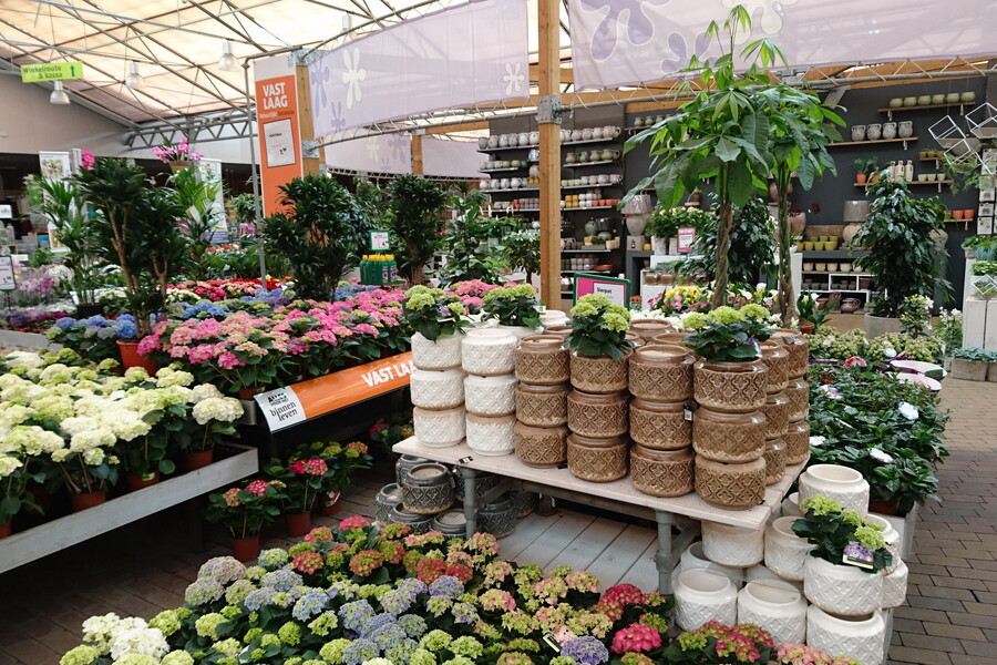 Flower sections