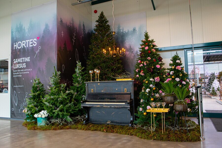 Klaviertisch umgeben von Weihnachtsbäumen